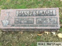 Mary M Rosino Haspeslagh