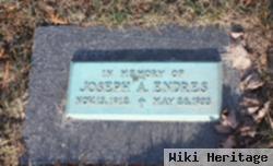 Joseph A Endres