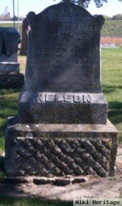 Eliza C Nelson