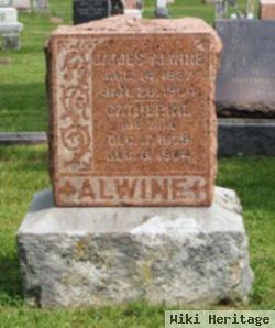 James Alwine