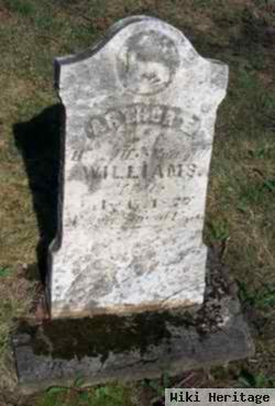 Arthur E. Williams