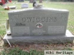 William Stewart Dwiggins