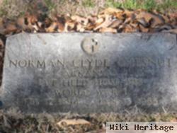 Norman Clyde Chesnut