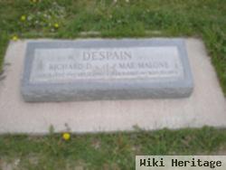 Richard Darwin Despain