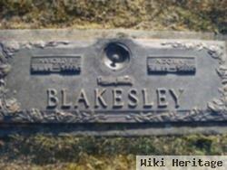 Nellie Dorine Owens Blakesley