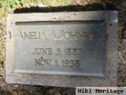 Amelia A. Johnson