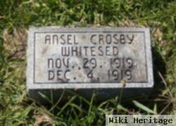 Ansel Crosby Whitesed