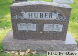 Bernard J Huber