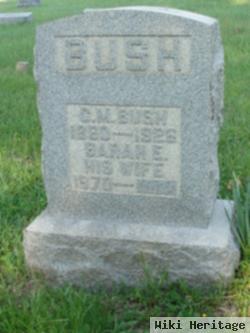 Charles Moore Bush