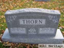 Sonja M Thorn