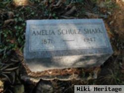 Amelia Schulz Shark