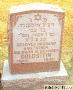 Solomon Alexander Goldstein