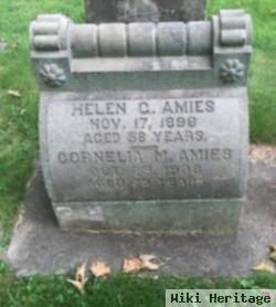 Helen G Amies