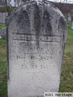 James W Palmer