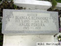 Blanca G Hernandez