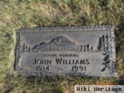 John R. Williams