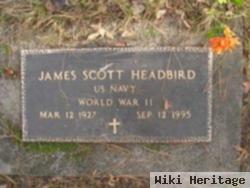 James Scott Headbird