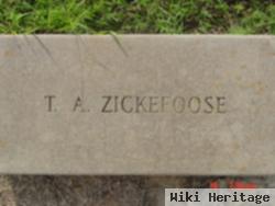 Thomas Alexander Zickefoose