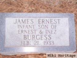 James Ernest Burgess