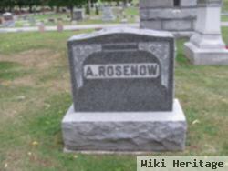 Arthur F Rosenow