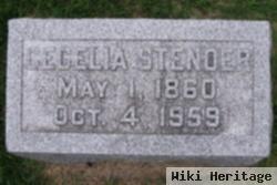 Cecelia Arp Stender