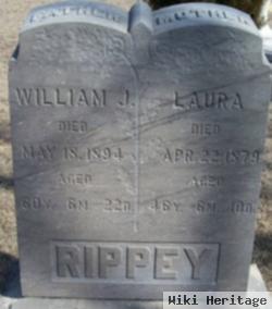 William J Rippey