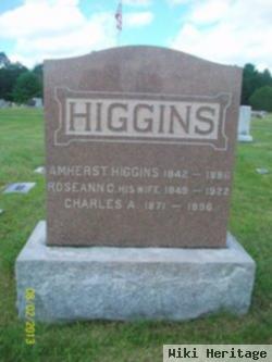 Charles A Higgins