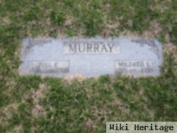 Joel E. Murray