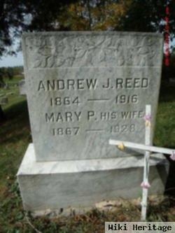 Mary P Reed