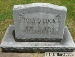 Tony Orvill Cook