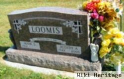 Judith A Hopkins Loomis