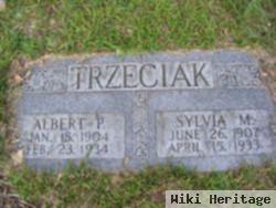 Sylvia M Trzeciak