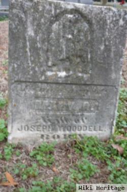 Mary Ann Sloss Wooddell