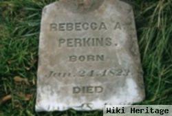 Rebecca Ann Coward Perkins