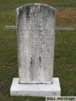 Elizabeth Gulledge Webb