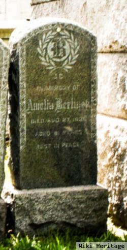 Amelia Frankel Berliner