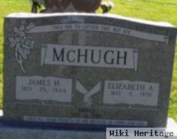 James H Mchugh