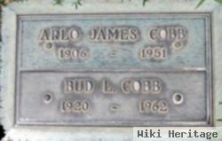 Arlo James Cobb