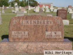 Jacob W Eikenberry