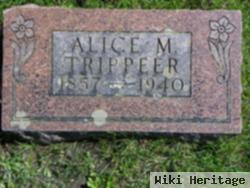 Alice Mary Alexander Trippeer