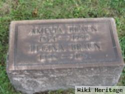 Amelia Gurtner Braun