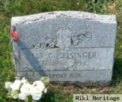 Lee R Geisinger, Sr