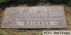 Martin A Brinker