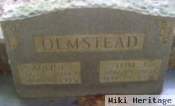 Thomas J. "tom" Olmstead