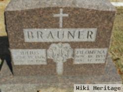 Julius Brauner