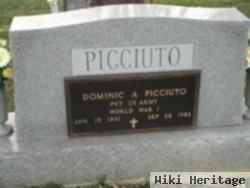 Dominic A Picciuto