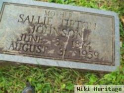 Sarah Ann "sallie Ann" Tipton Johnson