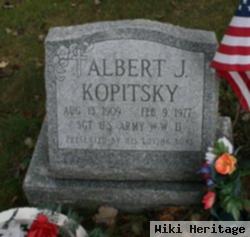 Albert J Kopitsky