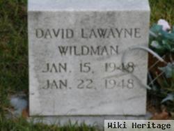 David Lawayne Wildman