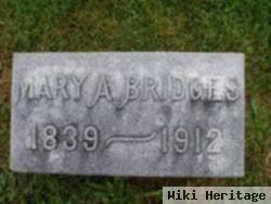 Mary Ann Reed Bridges